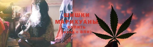 шишки Вязники